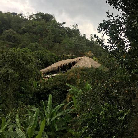 Hotel Green Ecologico La Vega  Εξωτερικό φωτογραφία